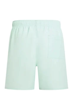 Calvin Klein Bañador cordón logo