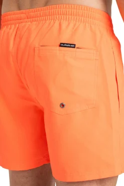 Quiksilver Bañador corto Everyday Solid 15