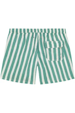 Robin Bañador green lines