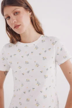Springfield Camiseta frutas