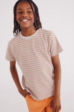 Crianças Springfield Kids Camiseta multiraya niño