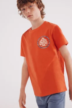 Crianças Springfield Kids Camiseta árbol etnico niño