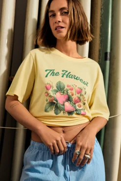 Springfield Camiseta "The Harvest"