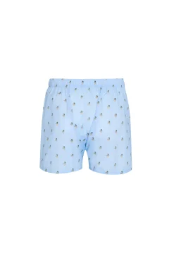 Duck print briefs