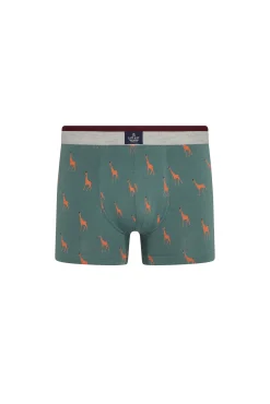 Giraffe print boxers