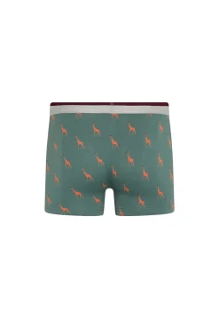 Giraffe print boxers