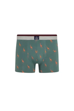 Giraffe print boxers