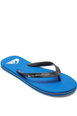 Quiksilver Molokai Core - Chanclas para Hombre