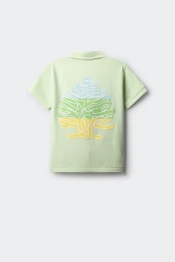 Crianças Springfield Kids Polo logo espalda niño