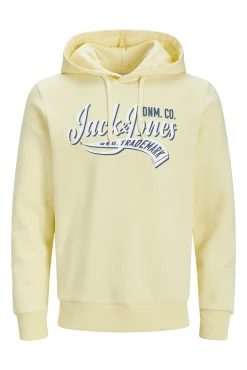Sudadera capucha estándar