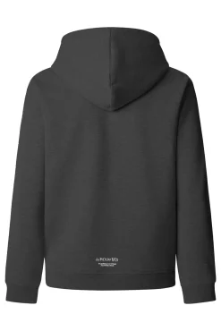 Pepe Jeans Sudadera Damian con capucha