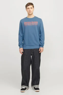 Jack & Jones Sudadera estándar fit