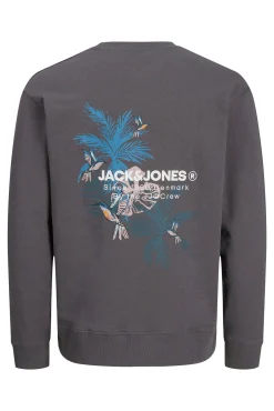 Jack & Jones Sudadera estándar fit