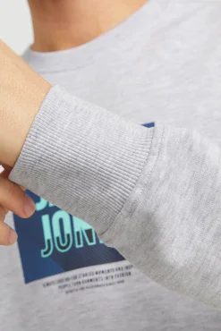 Jack & Jones Sudadera estándar fit