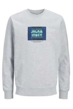 Jack & Jones Sudadera estándar fit