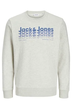 Jack & Jones Sudadera estándar fit