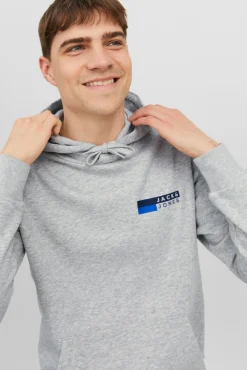 Jack & Jones Sudadera estándar fit capucha