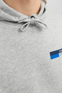Jack & Jones Sudadera estándar fit capucha