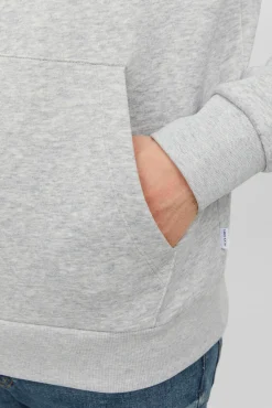 Jack & Jones Sudadera estándar fit capucha