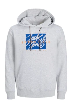 Jack & Jones Sudadera estándar fit capucha