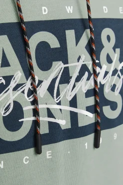 Jack & Jones Sudadera estándar fit capucha