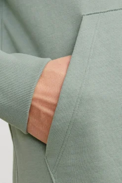 Jack & Jones Sudadera estándar fit capucha