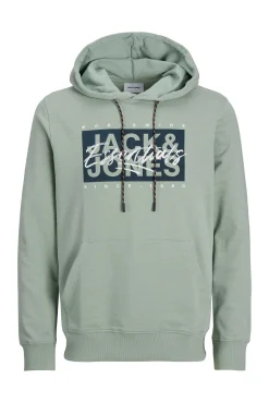 Jack & Jones Sudadera estándar fit capucha