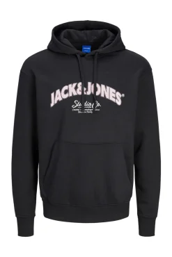 Sudadera regular fit capucha