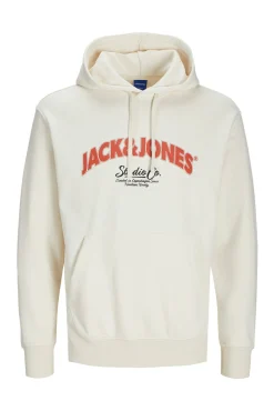 Sudadera regular fit capucha