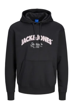 Sudadera regular fit capucha